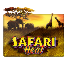 สล็อต Safari Heat